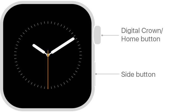 Use the buttons screen on your Watch - Apple Support