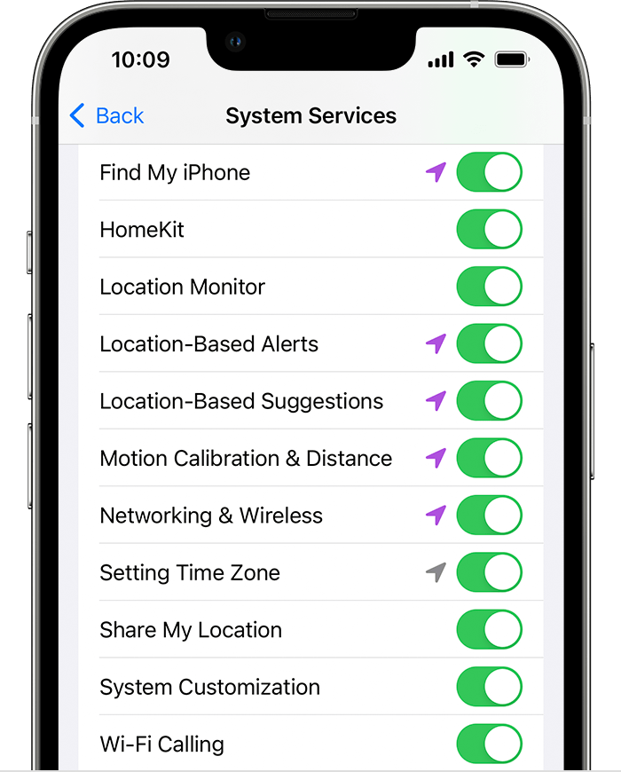 System Services screen on iPhone.