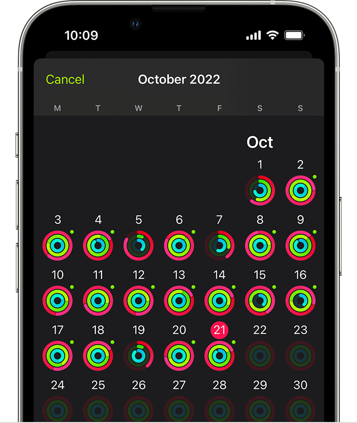 Una pantalla de iPhone en la que se muestra el resumen general de la actividad del mes