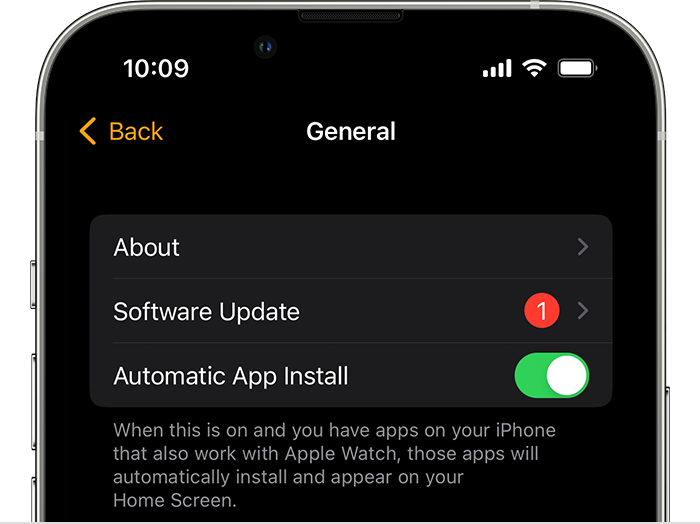 iPhone General Settings screen showing Software Update