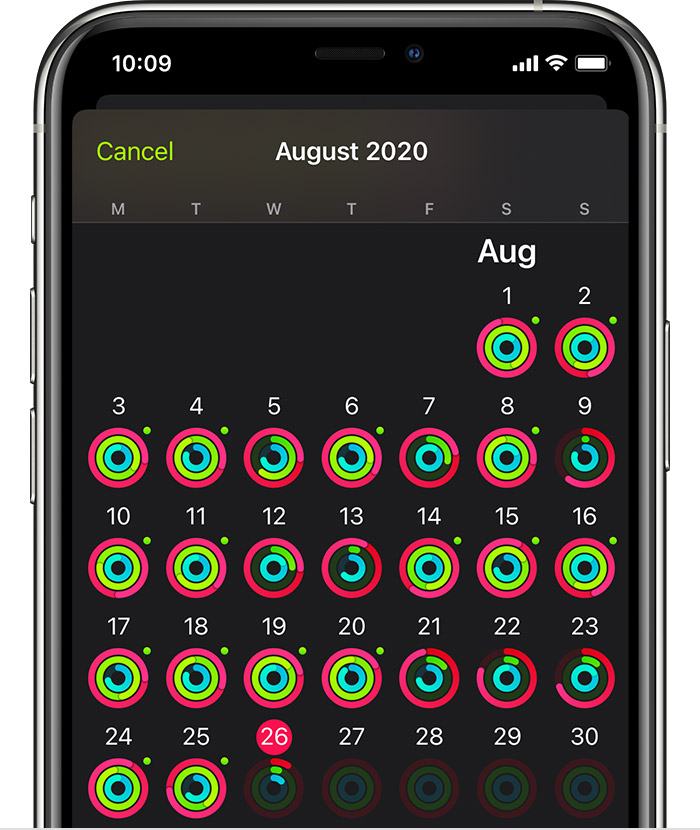 iPhone screen showing the overall activity summary for the month