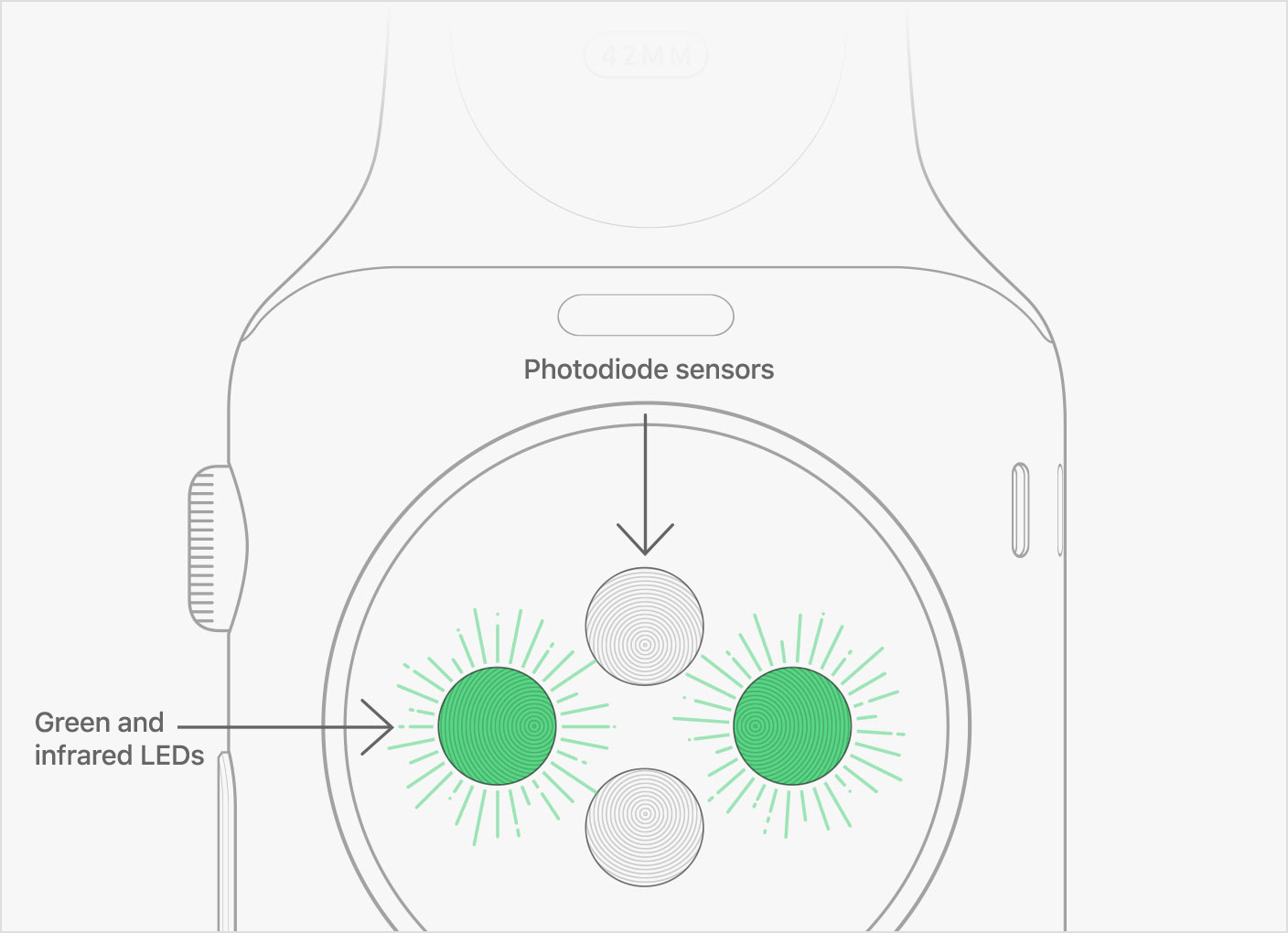 Apple Watch Green LED
