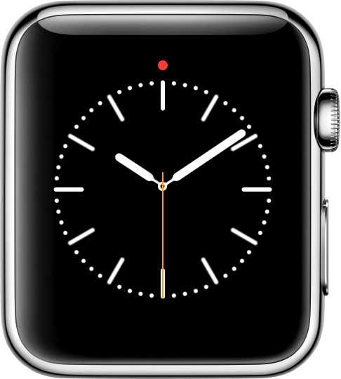 Status icons on Apple Watch - Apple Support