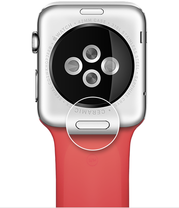 where is the apple watch band release button