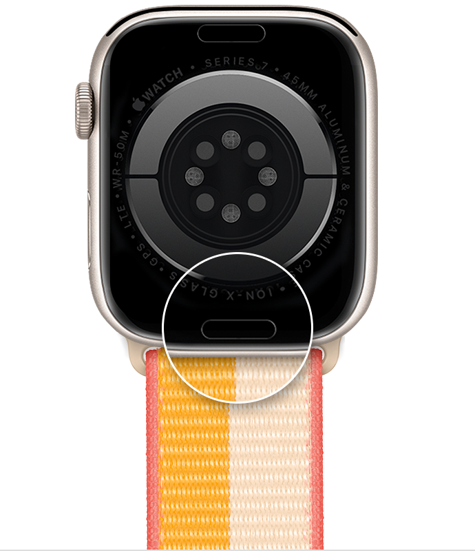 The band release button on the back of your Apple Watch.