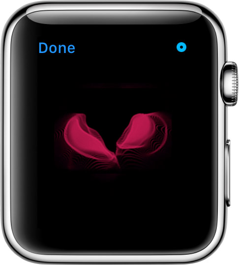 Use Digital Touch on your Apple Watch - Apple Support