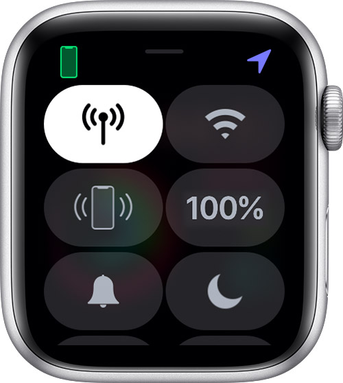 Status icons and symbols on Apple Watch 