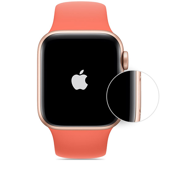 Eine Apple Watch Fur Ein Familienmitglied Konfigurieren Apple Support