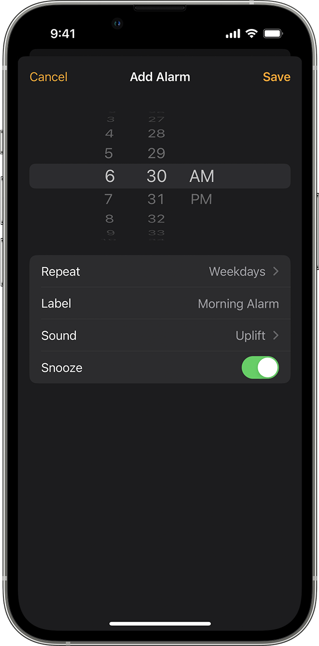 blotte håber tusind How to set and change alarms on your iPhone - Apple Support (IE)