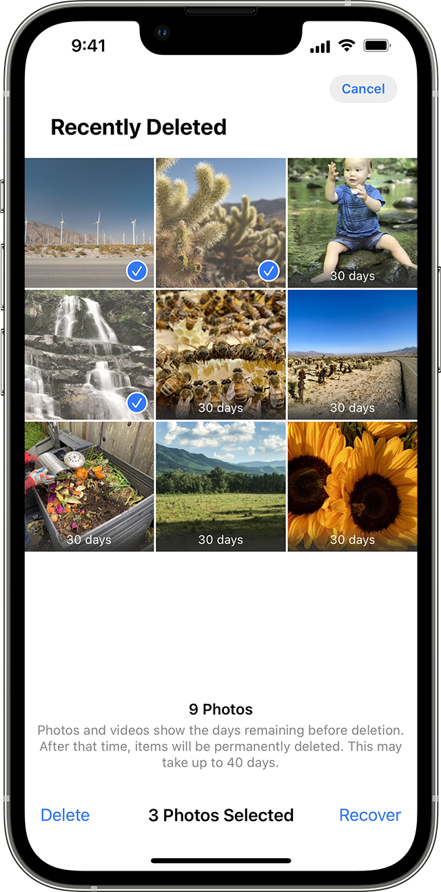 Use photo albums in Photos on iPhone - Apple Support