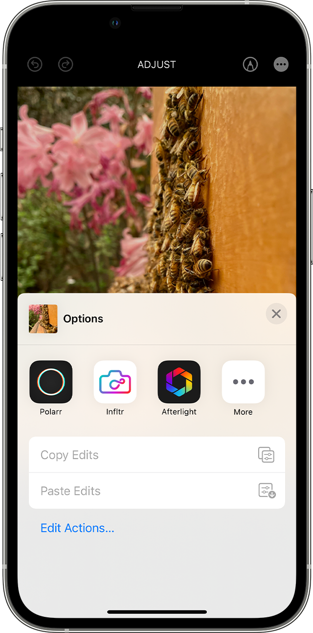 The menu of third-party extensions available in Photos on an iPhone.