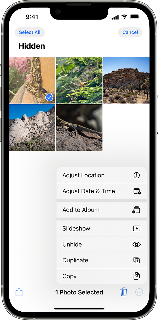 Use photo albums in Photos on iPhone - Apple Support