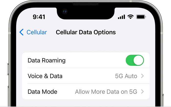 Top part of an iPhone screen showing mobile data settings
