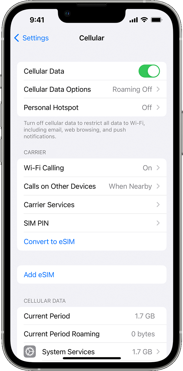 How to access the SIM card applications and services on iPhone