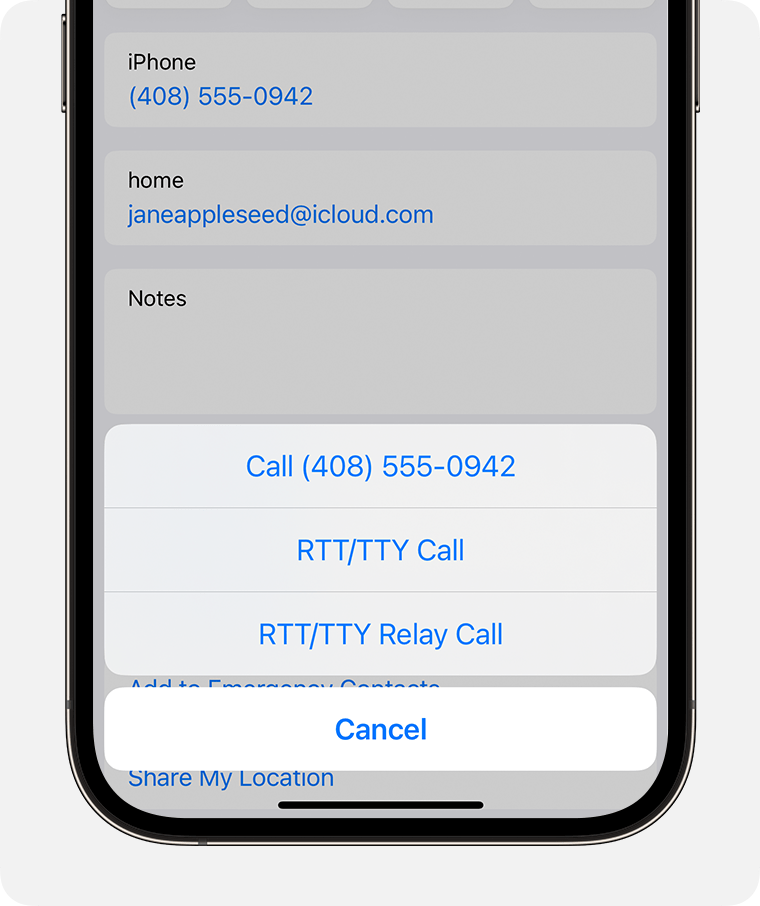 Pantalla del iPhone en la que se muestra el menú para seleccionar una llamada RTT/TTY o una llamada de retransmisión RTT/TTY