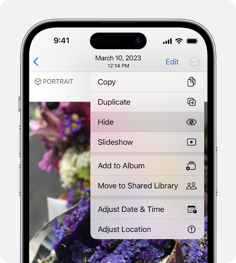 Hide photos on your iPhone, iPad, or Mac with the Hidden album - Apple  Support