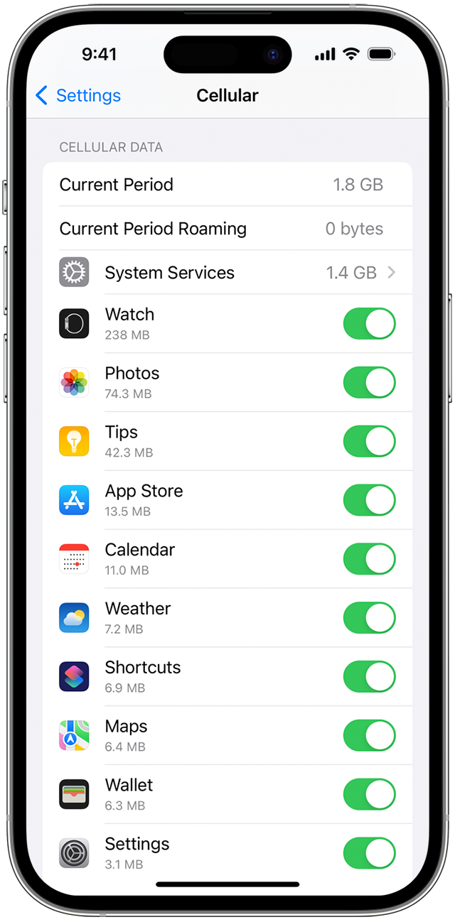 Mobile data setting screen on iPhone