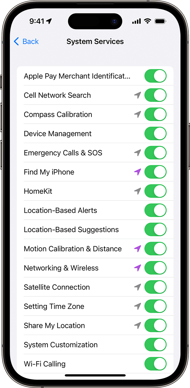 System Services setting on iPhone