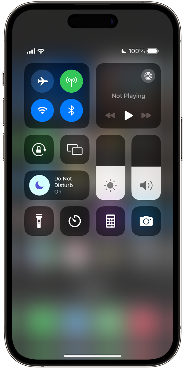 In Control Center, the Do Not Disturb icon appears when that Focus setting is on.