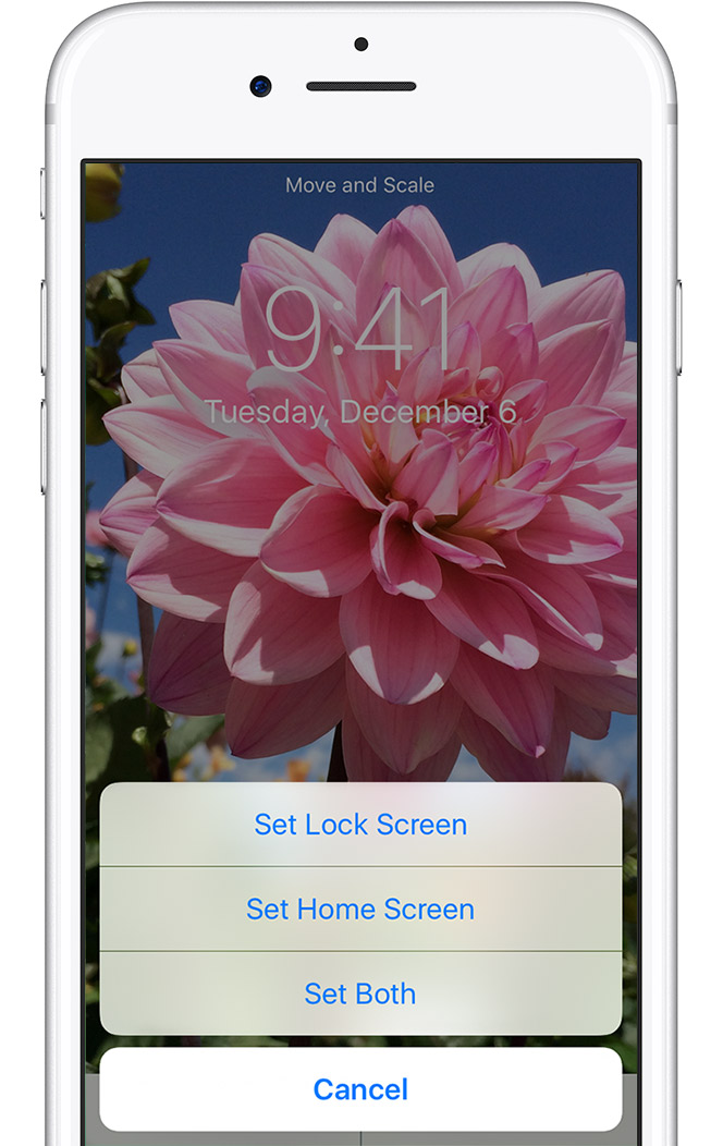 How to change your iPhone wallpaper | PixelsTalk.Net