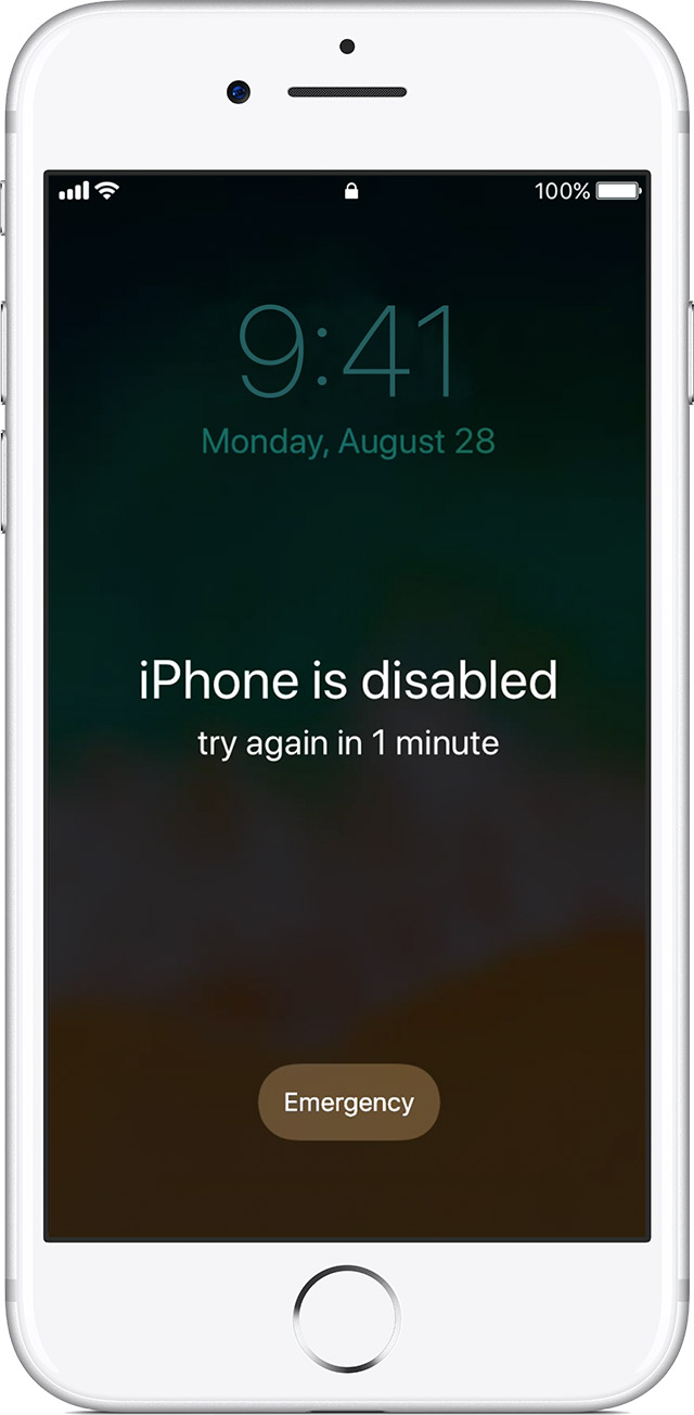 forgot iphone passcode reset iphone