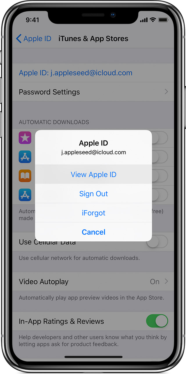 An iPhone X showing the iTunes & App Stores Settings screen with the Apple ID menu open and View Apple ID selected.