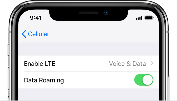 Top part of an iPhone screen showing cellular settings