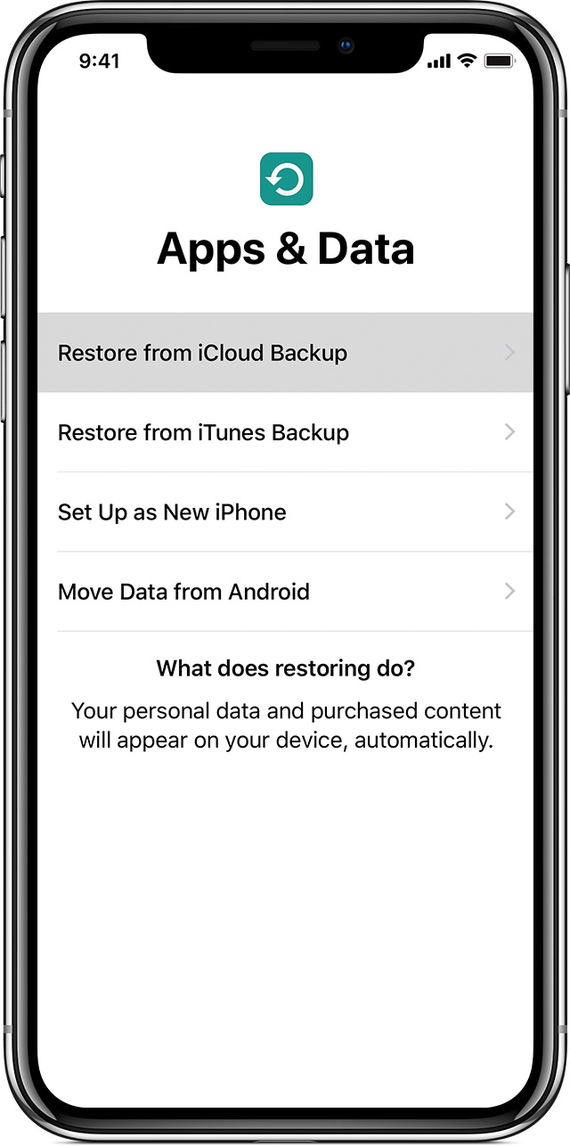 screen showing restore options