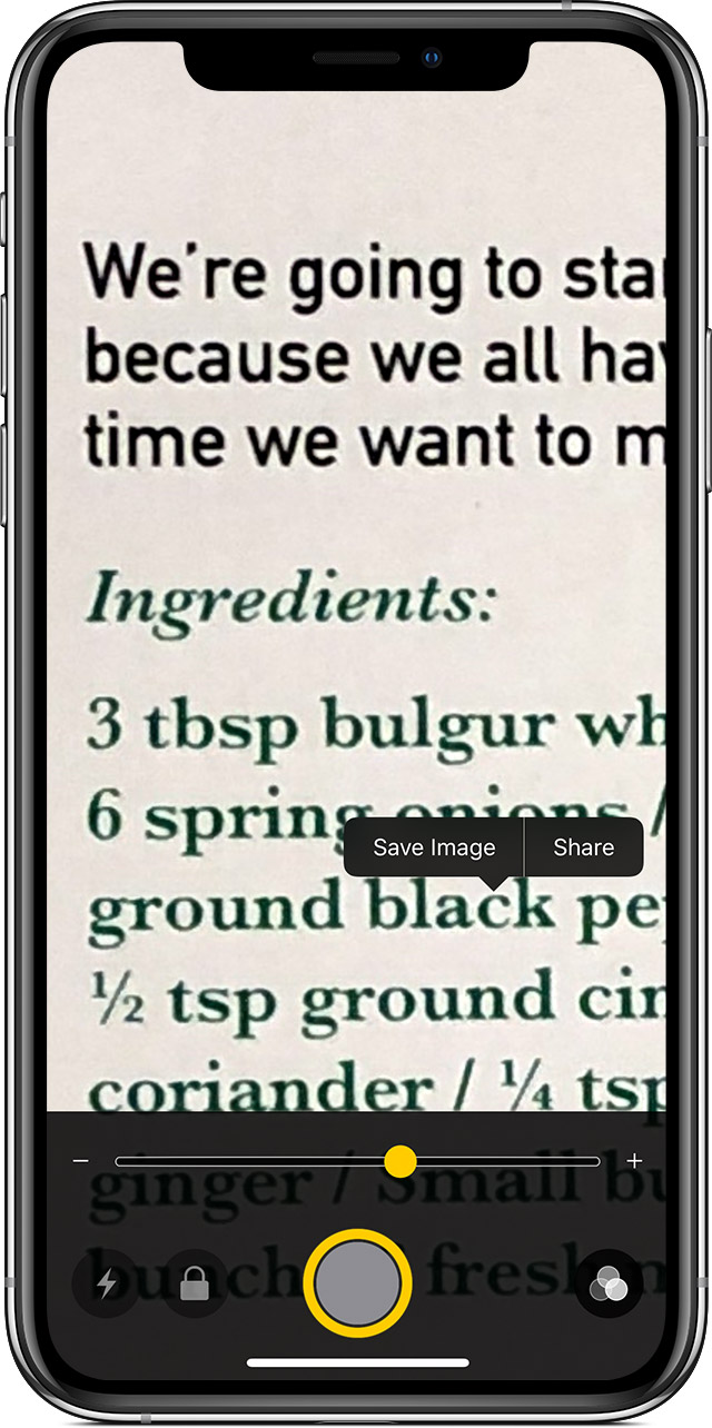 Use Magnifier with your iPhone or iPad Apple Support