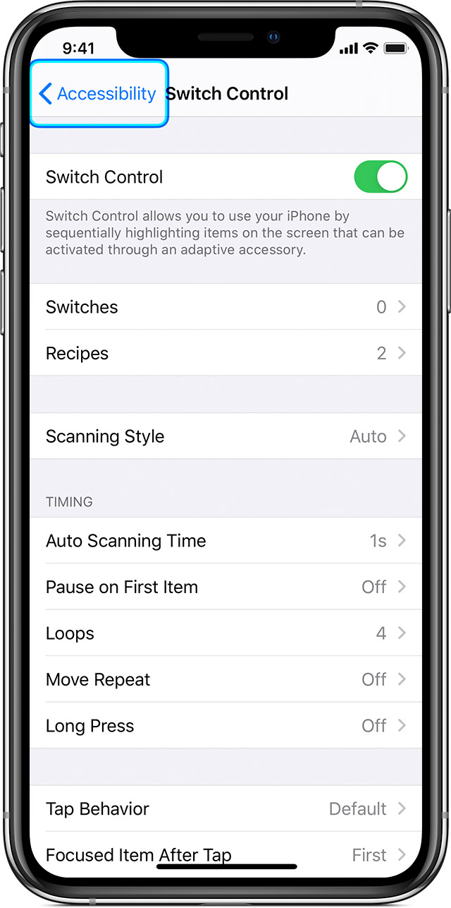ios13 iphone xs settings accessibility switch control on highlight