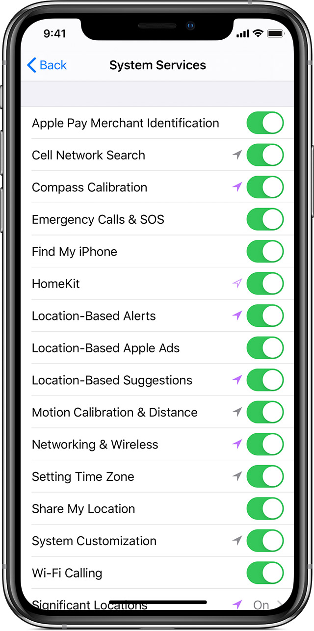 System Services setting on iPhone
