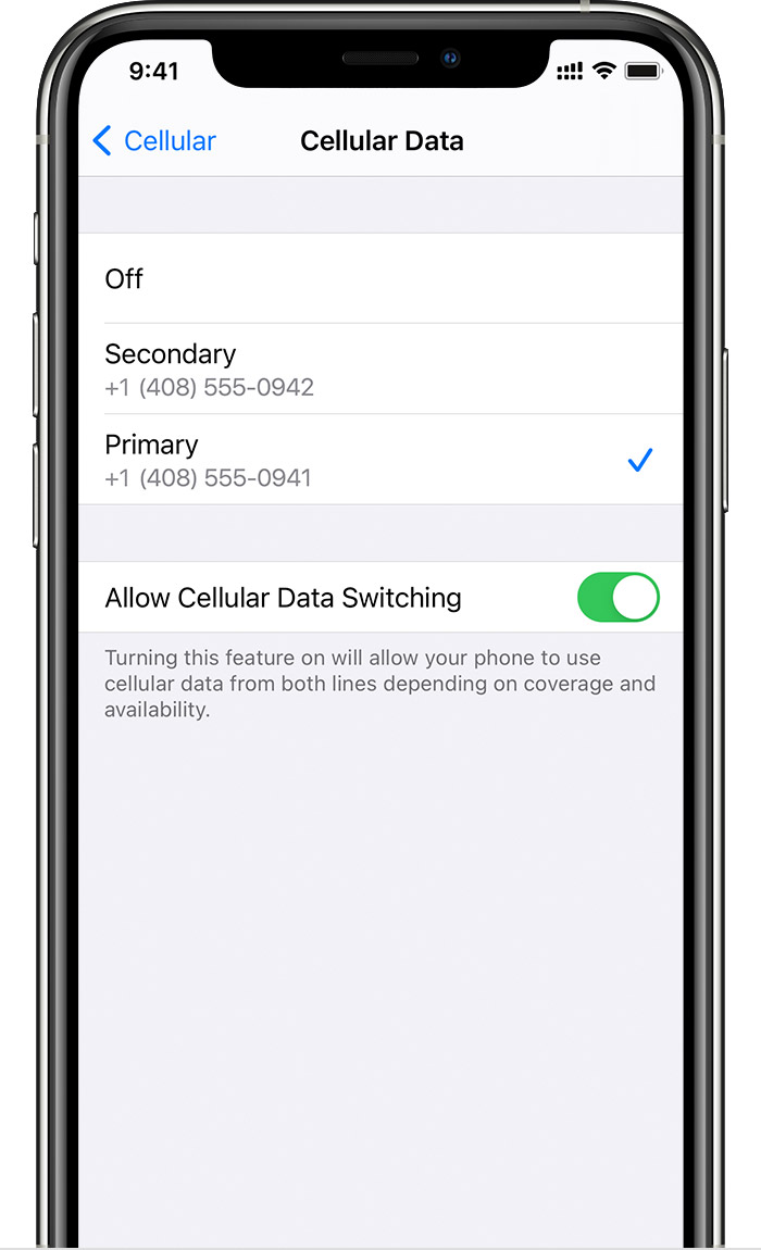 Using Dual Sim With An Esim Apple Support