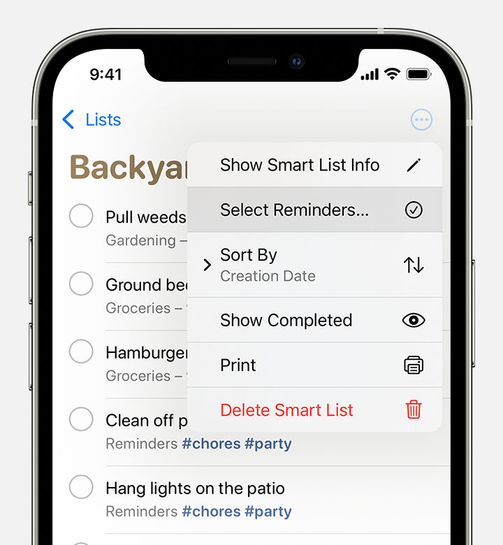 iPhone showing a Reminders list with the menu open after selecting the More button. Select Reminders is highlighted in the menu.