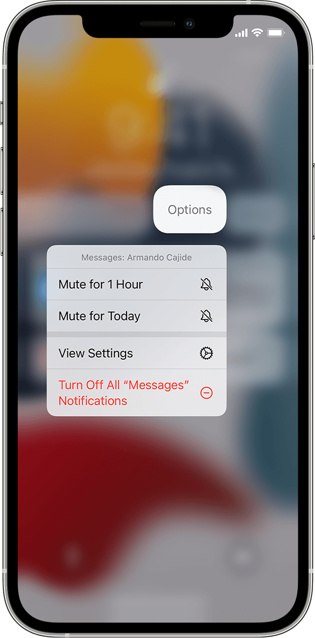 iPhone showing how to manage notifications