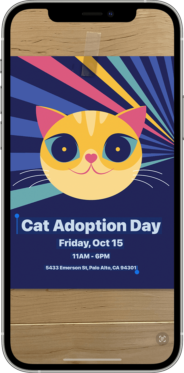 Mise en évidence du texte présent sur la photo d’une affiche Cat Adoption Day (Journée d’adoption de chats) pour faire apparaître le bouton Texte en direct