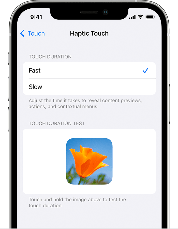 The Haptic Touch settings on iPhone