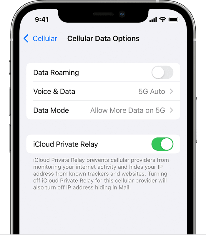 Screenshot showing Cellular Data Options