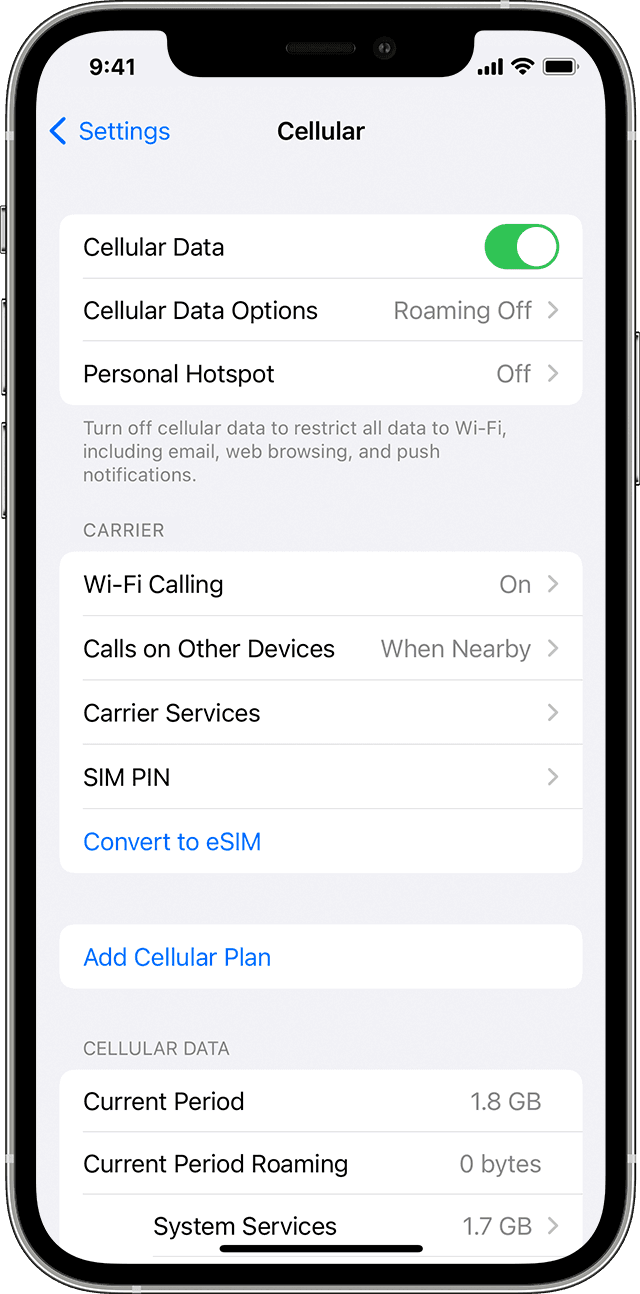 Image shows cellular data settings.