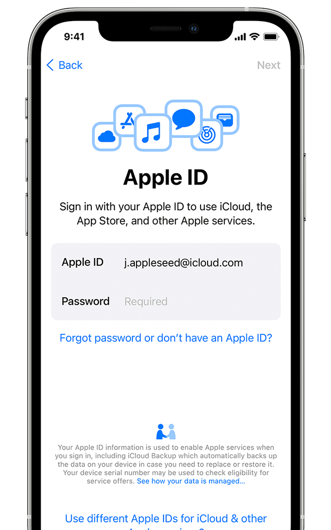 Screen showing option to sign in with your Apple ID and password