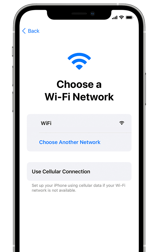 Screen showing option to Choose a Wi-Fi Network or Use Cellular Connection