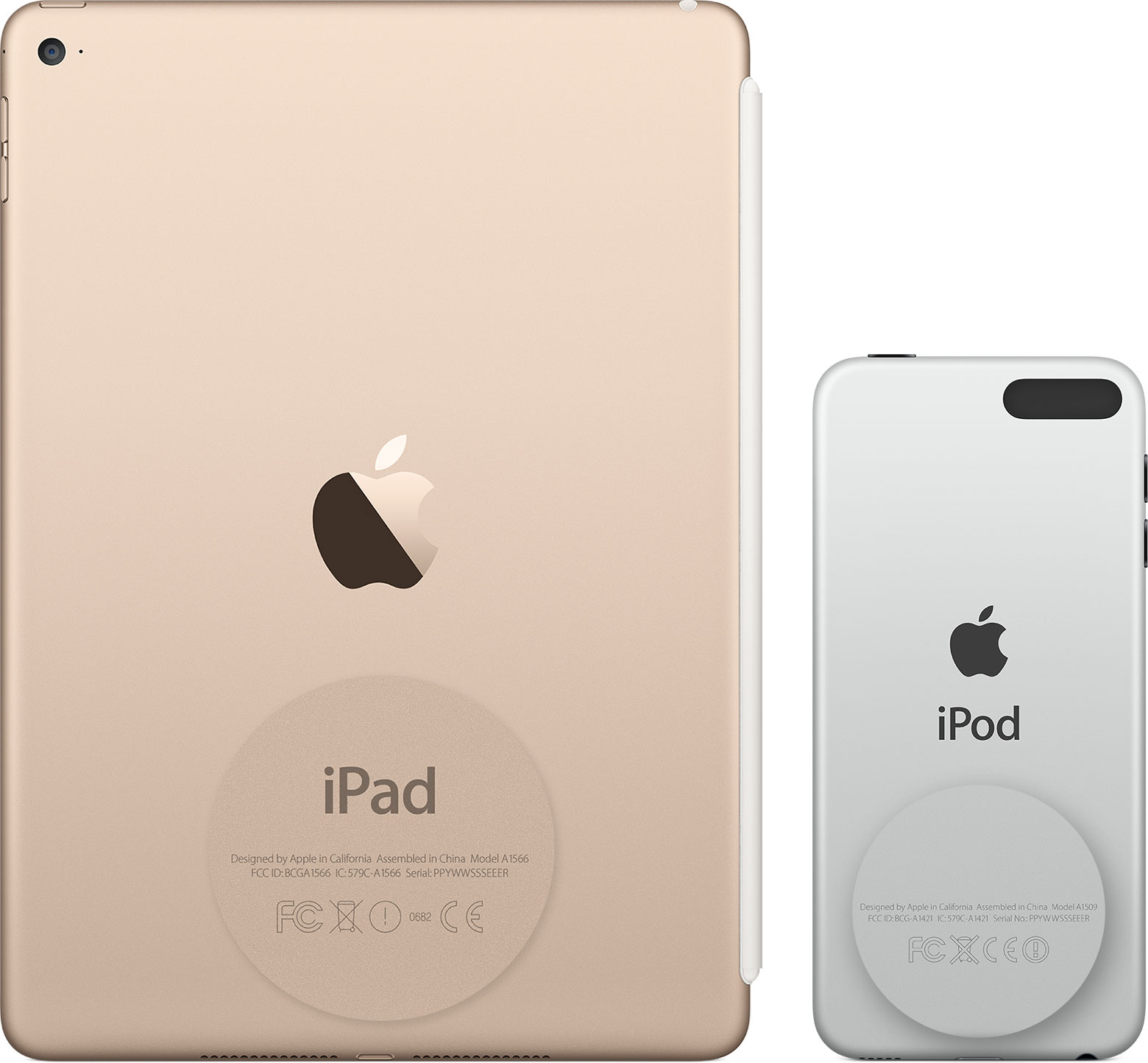  Temukan nomor seri iPad Pro, iPad, atau iPod touch di bagian belakang perangkat.