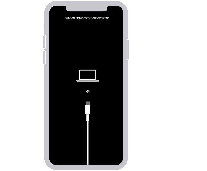 iPhone'unuzdaki kurtarma modu ekranı