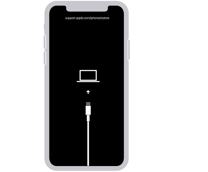 iPhone parolanızı unuttuysanız - Apple Destek (TR)