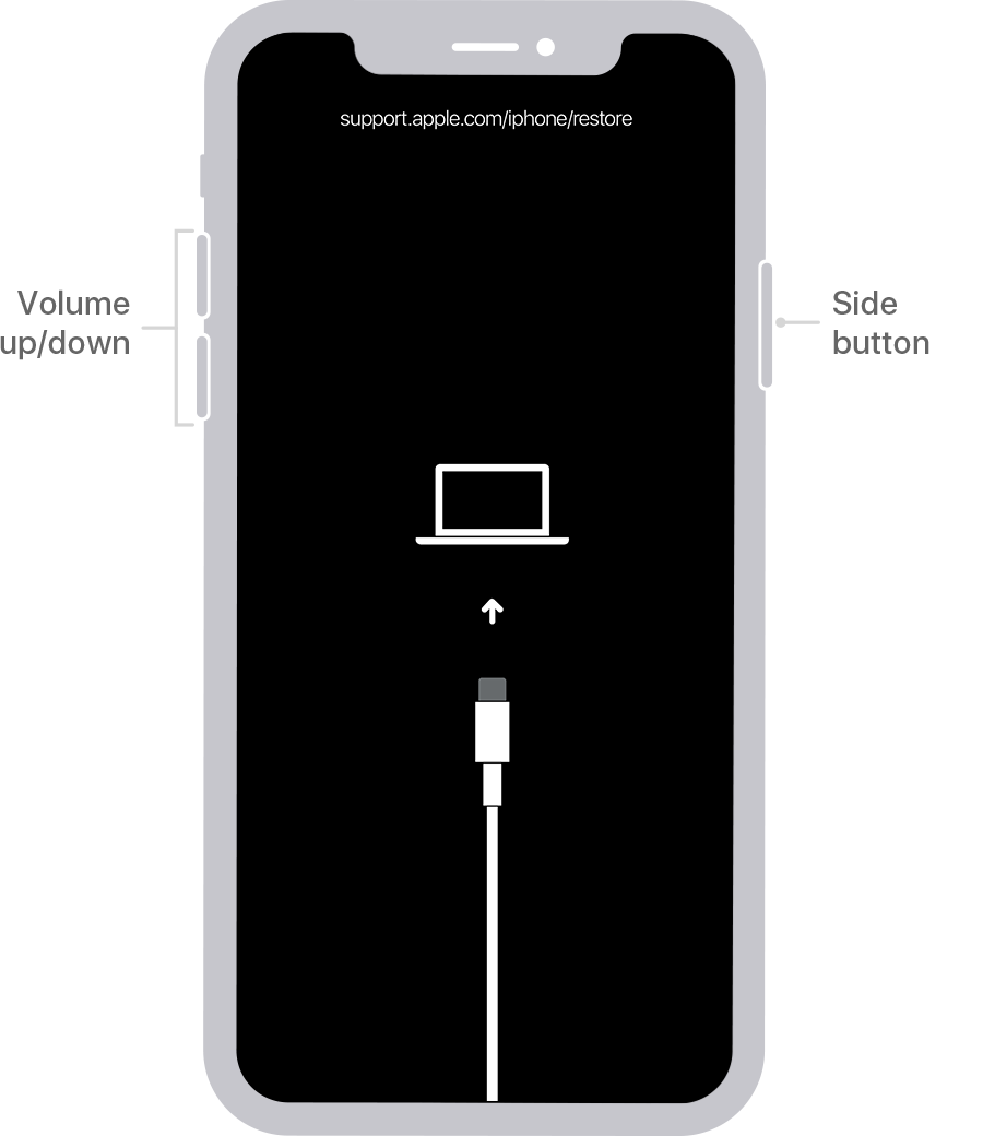 support apple iphone passcode reset