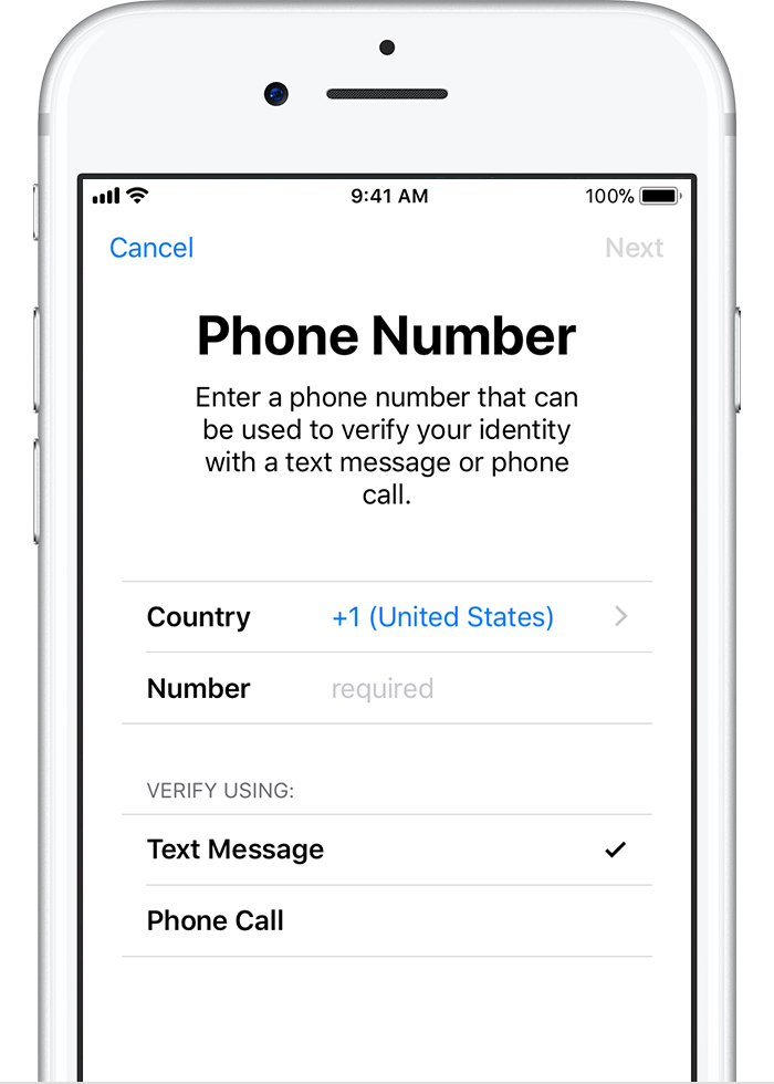 where to enter the iturn store verification code on iphone5