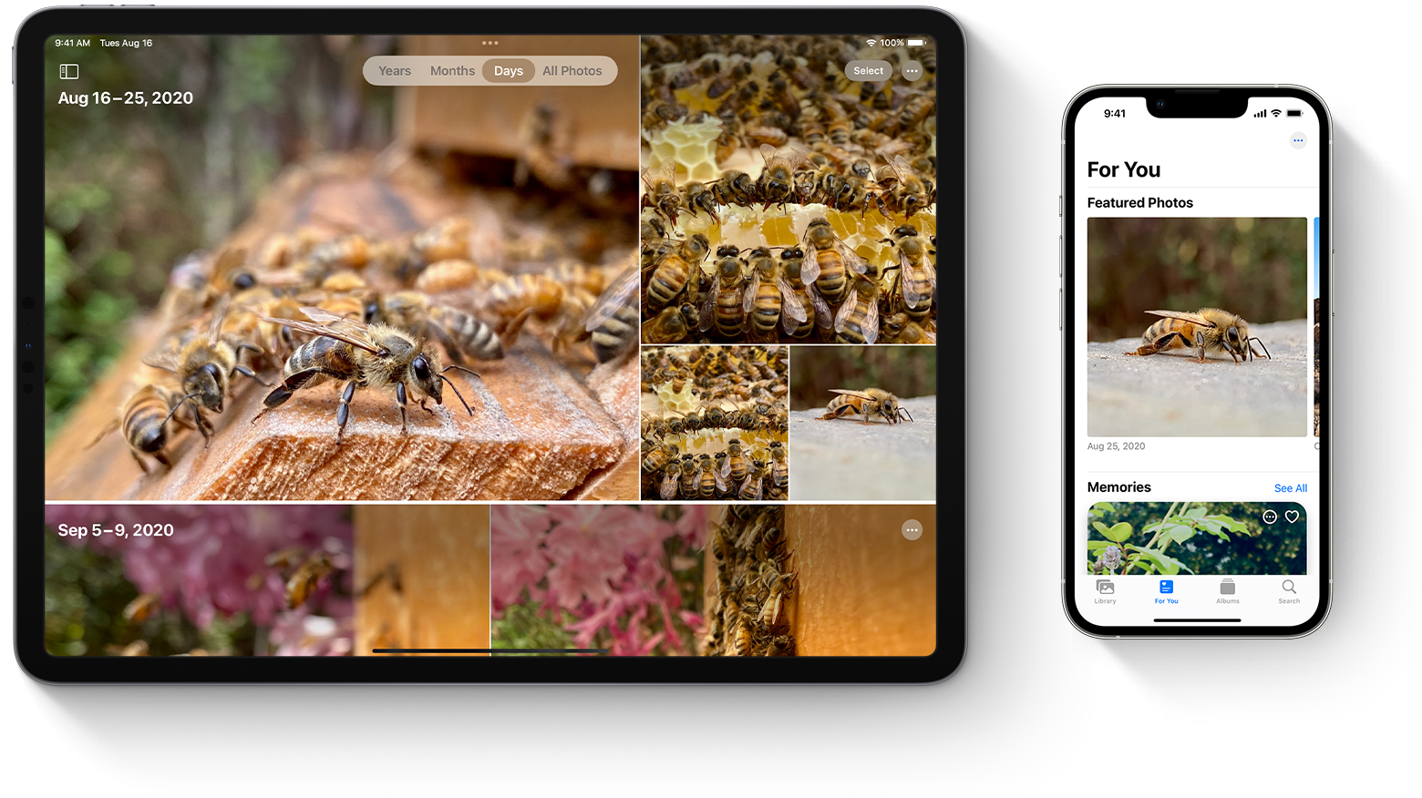 iPad Pro in iPhone 13 Pro, ki prikazujeta isto knjižnico fotografij v storitvi iCloud