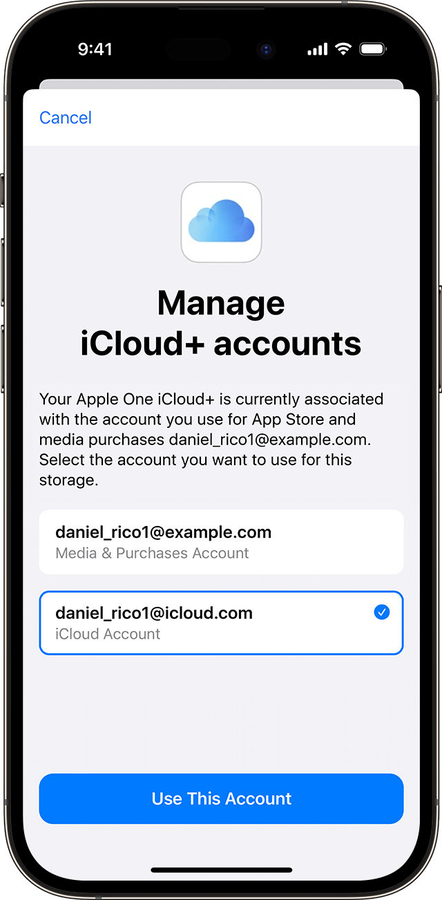 If you subscribe to Apple One and use a different Apple ID for iCloud