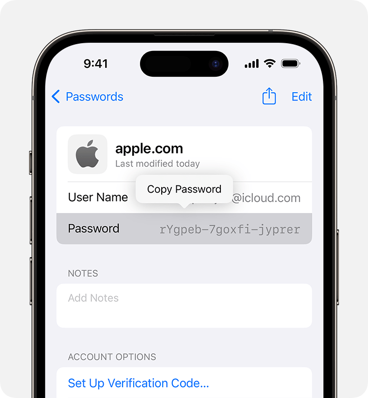 Passwords on iPhone