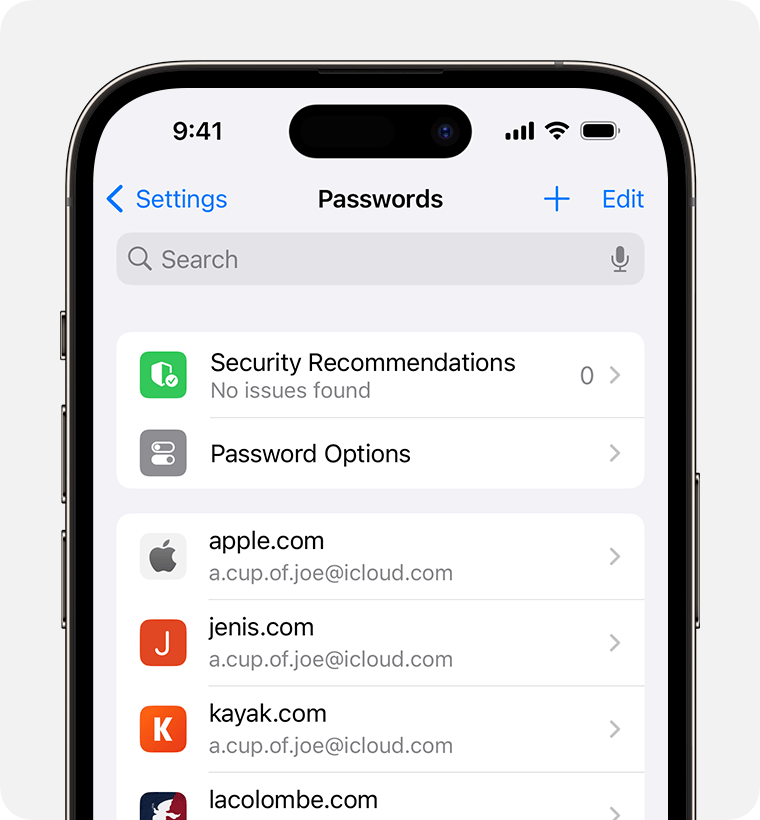 Find saved passwords and passkeys on your iPhone - Apple Support