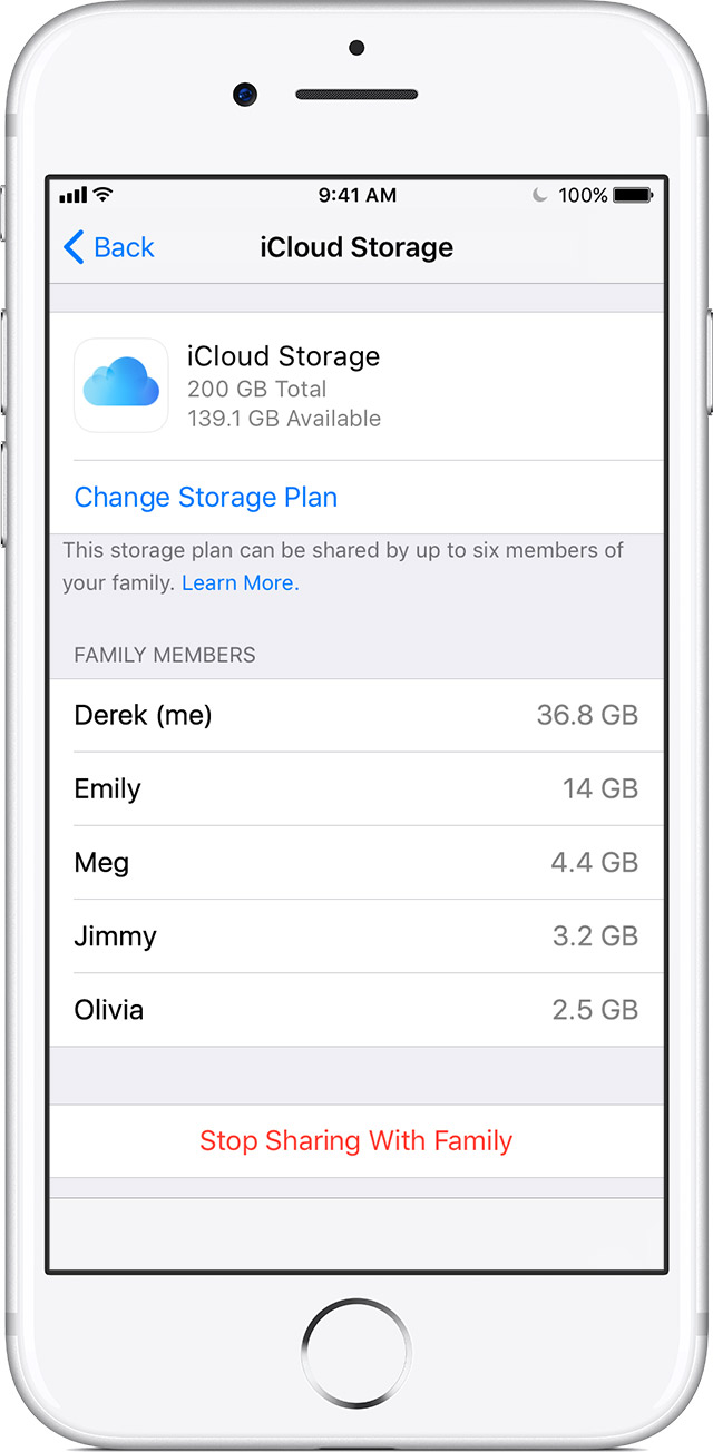How To Share iCloud Storage With Family 5